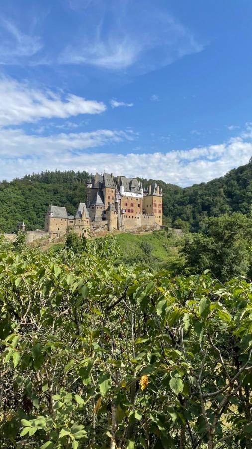 Moderne Ferienwohnung Black Beauty Auf Idyllischem Reiterhof Naehe Burg Eltz Munstermaifeld Luaran gambar